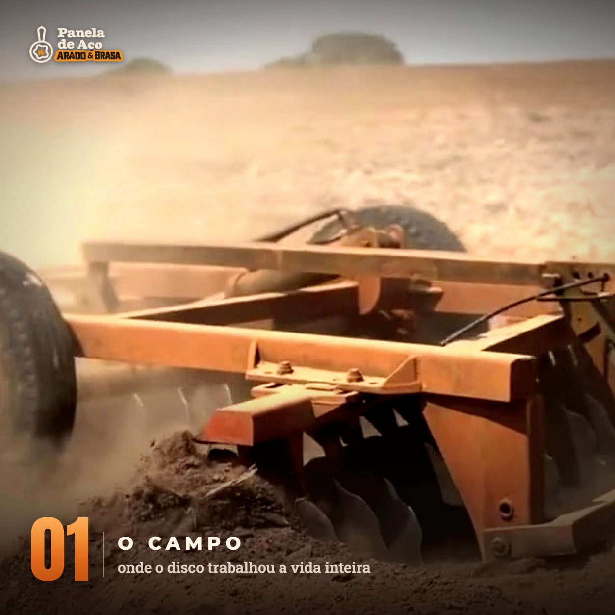 Nasce no campo